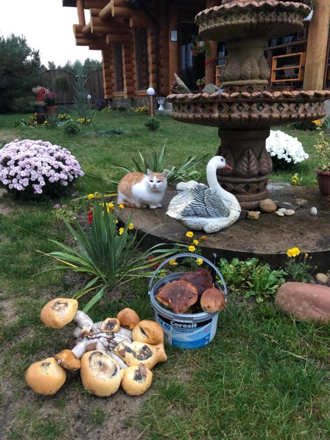 Казковий Світязь Shatsk Bagian luar foto